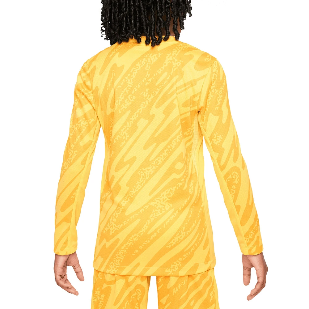 Youth Nike  Yellow France National Team 2024 Goalkeeper Replica Stadium Long Sleeve Jersey