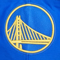 Men's Pro Standard Royal Golden State Warriors Script Tail Pullover Hoodie
