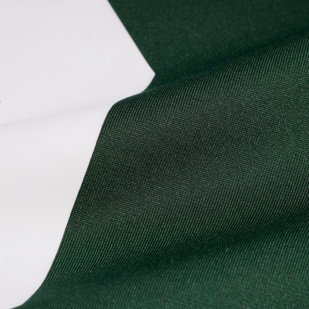 Maillot de match Nike Daniel Whelan pour homme, vert, des Packers Green Bay