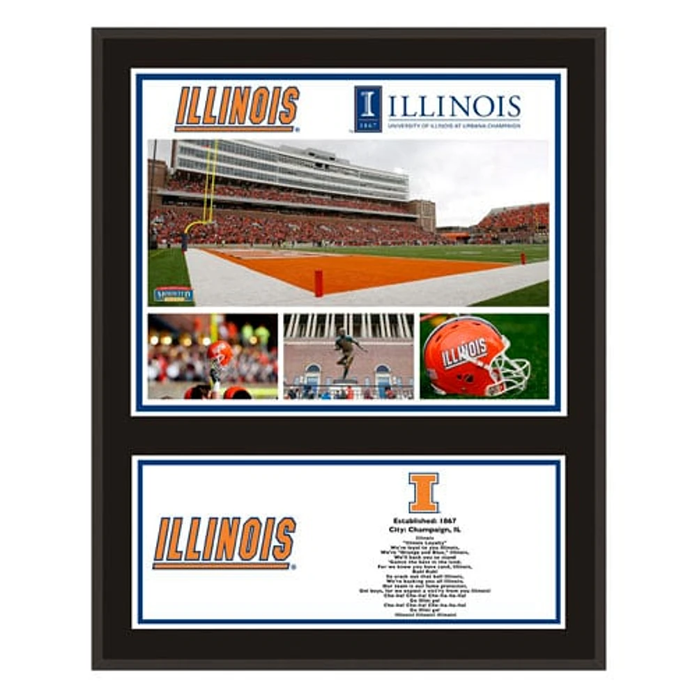 Illinois Fighting Illini 12'' x 15'' Sublimated Team Plaque