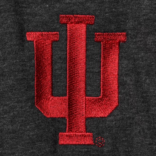 Veste Homme Champion Heathered Black Indiana Hoosiers Field Day Team Quarter-Zip