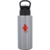 Tervis Iowa State Cyclones 32oz. All In Wide Mouth Water Bottle