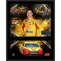 Joey Logano 12" x 15" 2018 NASCAR Monster Energy Cup Series Champion Sublimated Plaque