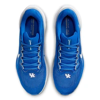 Unisex Nike Royal Kentucky Wildcats Zoom Pegasus 41 Running Shoes