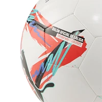 Puma La Liga 2024/25 Orbita Soccer Ball