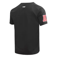 Men's Pro Standard Black Las Vegas Raiders Hybrid T-Shirt