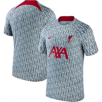 Haut Performance d'Avant-Match Liverpool 2023/24 Homme Nike Gris