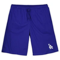 Men's Profile Los Angeles Dodgers Big & Tall T-Shirt Shorts Combo Set