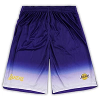 Men's Fanatics Purple Los Angeles Lakers Big & Tall Fadeaway Shorts