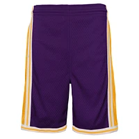 Youth Mitchell & Ness Purple Los Angeles Lakers Hardwood Classics Swingman Shorts