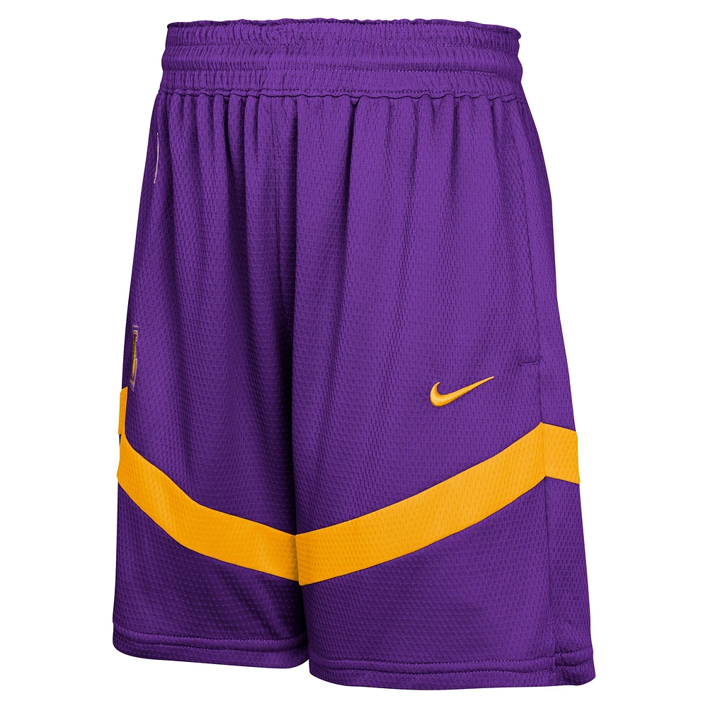 Youth Nike Purple Los Angeles Lakers Practice Mesh Shorts