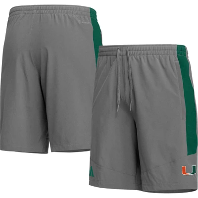 Short adidas Miami Hurricanes AEROREADY gris pour homme