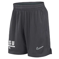 Men's Nike Anthracite Michigan State Spartans 2024 Sideline Performance Mesh Shorts