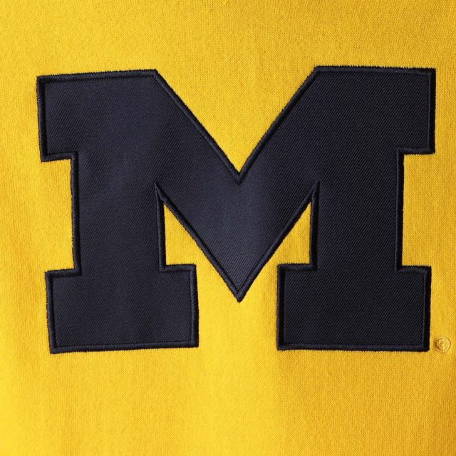 Sweat à capuche Maize Michigan Wolverines Team Big Logo pour femme