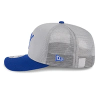 Men's New Era  Gray/Royal Milwaukee Brewers 2025 Batting Practice 9SEVENTY Stretch-Snap Trucker Hat