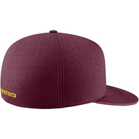 Casquette ajustée Nike Minnesota Golden Gophers True Performance pour homme, marron