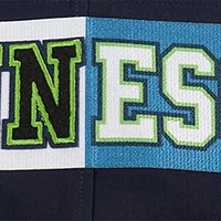 Men's Pro Standard Navy Minnesota Timberwolves Split Logo Pullover Hoodie