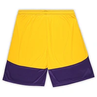 Men's Fanatics Purple/Gold Minnesota Vikings Big & Tall Launch Shorts