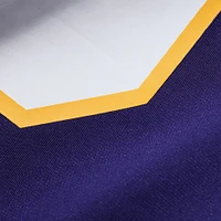 Men's Nike Cris Carter Purple Minnesota Vikings Classic Retired Player Game Jersey