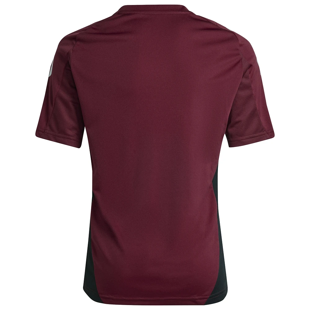 Youth adidas Burgundy Newcastle United 2024/25 Training Jersey