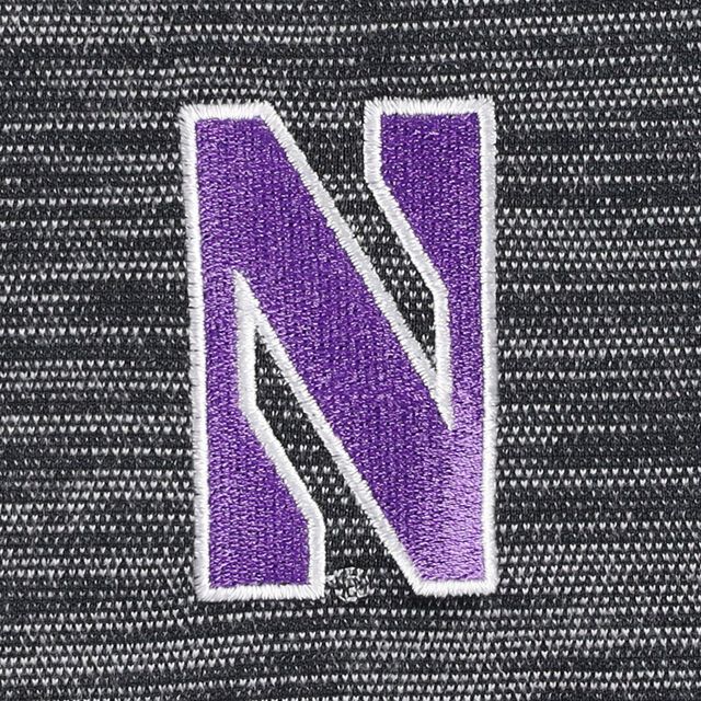 Under Armour Northwestern Wildcats Tempo Fleece Quarter-Zip Veste pour homme Noir