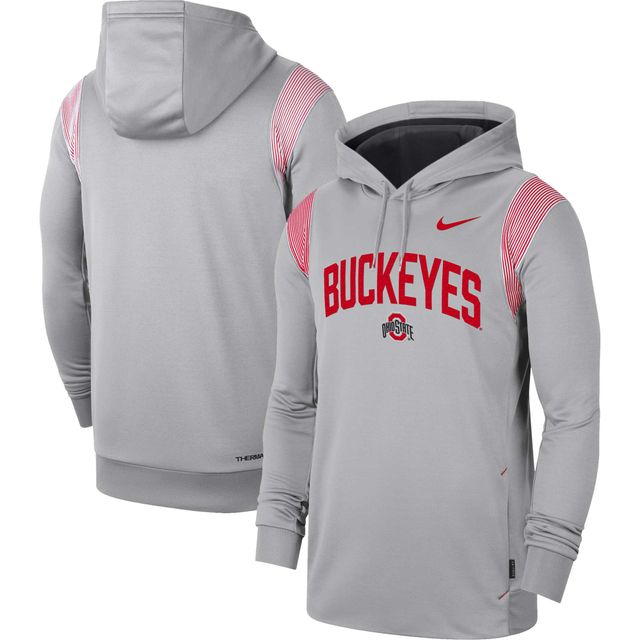 Chandail à capuchon pour homme Nike Ohio State Buckeyes 2022 Game Day Sideline Performance gris