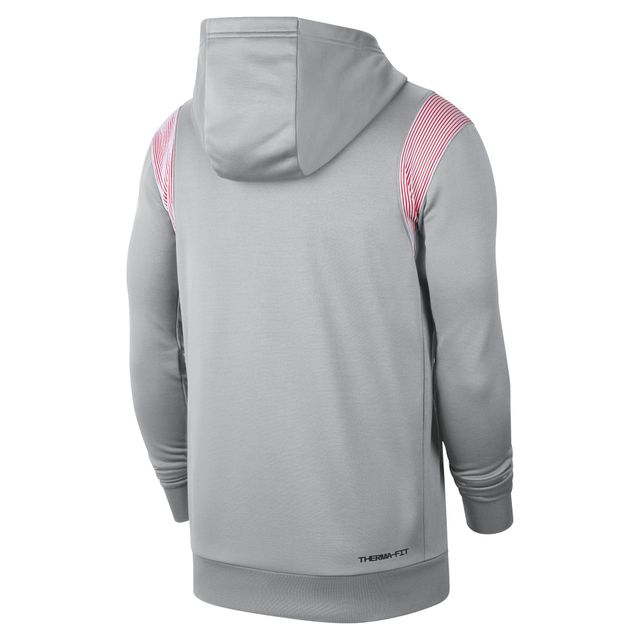 Chandail à capuchon pour homme Nike Ohio State Buckeyes 2022 Game Day Sideline Performance gris