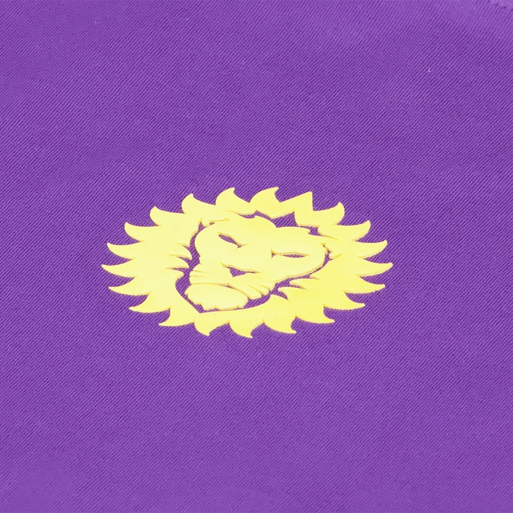 Men's Purple Orlando City SC Street Heavyweight Relaxed T-Shirt