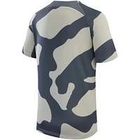 Youth Jordan Brand Gray Paris Saint-Germain 2023/24 Academy Pro Performance Pre-Match Top
