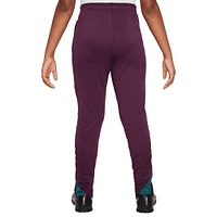 Youth Nike Burgundy Paris Saint-Germain 2024/25 Strike Training Pants