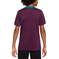 Youth Nike  Burgundy Paris Saint-Germain 2024/25 Strike Training Performance Top