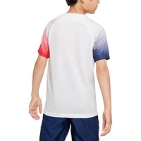 Youth Nike White Paris Saint-Germain 2023/24 Academy Pro Performance Pre-Match Top