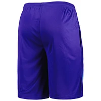 Men's Fanatics Royal Philadelphia 76ers Fadeaway Shorts
