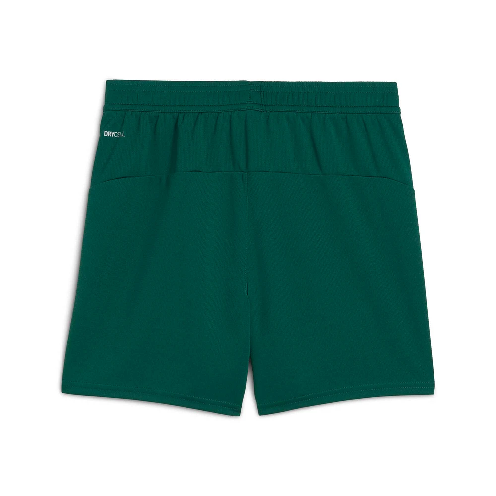 Youth Puma  Green Portugal National Team Replica Shorts