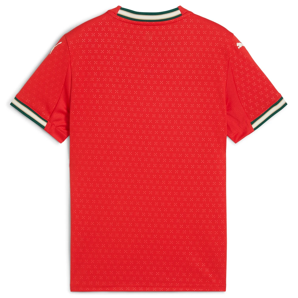 Youth Puma Red Portugal National Team 2025 Home Replica Jersey