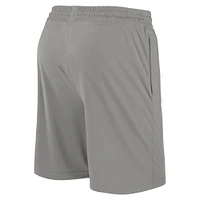 Men's Fanatics Gray San Diego Padres Iconic Break It Loose Shorts