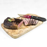 San Francisco 49ers 4-Piece Stainless Steel Steak Knife Set
