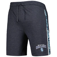 Men's Concepts Sport  Charcoal Seattle Kraken Team Stripe Shorts