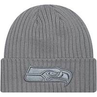 Men's New Era Gray Seattle Seahawks Color Pack Cuffed Knit Hat