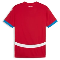 Men's Puma  Red Serbia National Team 2024 Home Replica Jersey