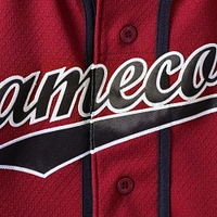 Men's Under Armour Garnet South Carolina Gamecocks Performance Replica Baseball Jersey
