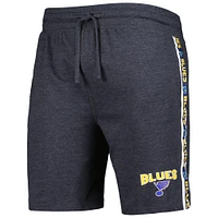 Men's Concepts Sport  Charcoal St. Louis Blues Team Stripe Shorts