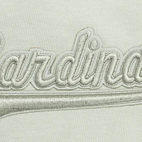 Men's Pro Standard Green St. Louis Cardinals Neutral Hoodie T-Shirt