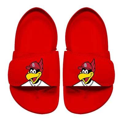 Sandales à glissière mascotte ISlide St. Louis Cardinals rouges pour tout-petits