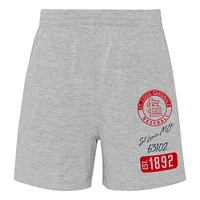 Toddler Navy/Heather Gray St. Louis Cardinals Two-Piece Groundout Baller Raglan T-Shirt & Shorts Set