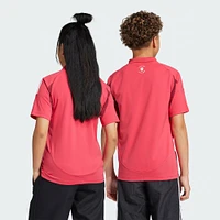 Youth adidas  Red St. Louis CITY SC 2025 Forever Replica Jersey
