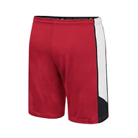 Men's Colosseum Cardinal Stanford Haller Shorts