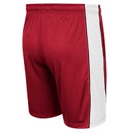Men's Colosseum Cardinal Stanford Panel Shorts