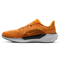 Unisex Nike Tennessee Orange Volunteers Zoom Pegasus 41 Running Shoes