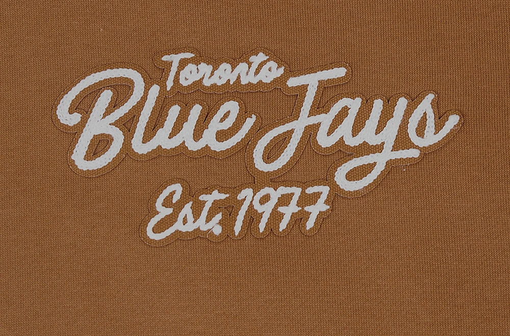 Men's Pro Standard Brown Toronto Blue Jays Paint the City Pullover Hoodie